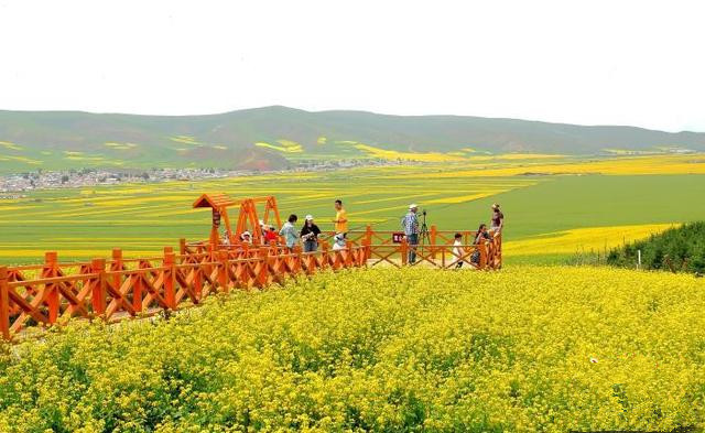 青島推動文旅項(xiàng)目多領(lǐng)域、多業(yè)態(tài)、多層次發(fā)展
